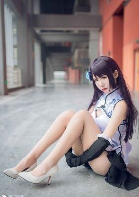 野狼与鸽子