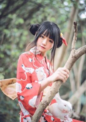 飞虎神鹰1-42集免费