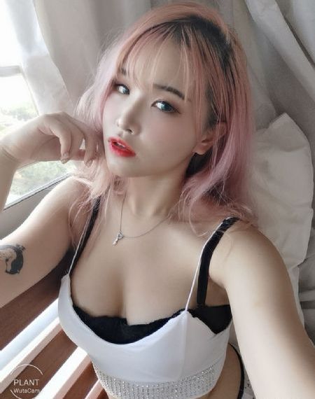 国产不卡视频在线观看