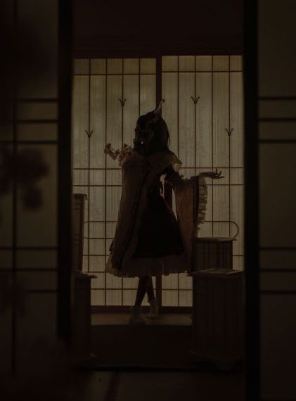 白莲花电视剧完整版免费