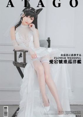 战将韩先电视剧免费观看