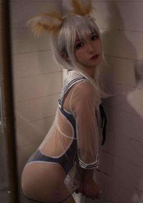 绝佳的解决师